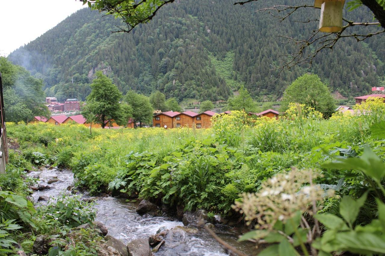 Faraksi Bungalow & Otel Uzungöl Exteriér fotografie