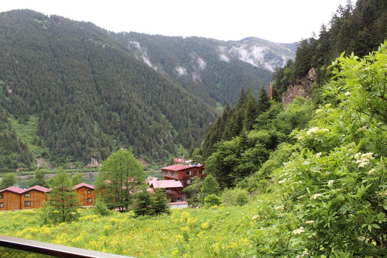 Faraksi Bungalow & Otel Uzungöl Exteriér fotografie