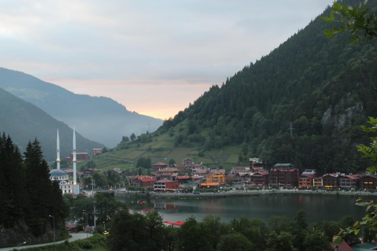 Faraksi Bungalow & Otel Uzungöl Exteriér fotografie