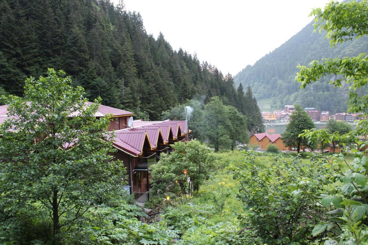 Faraksi Bungalow & Otel Uzungöl Exteriér fotografie