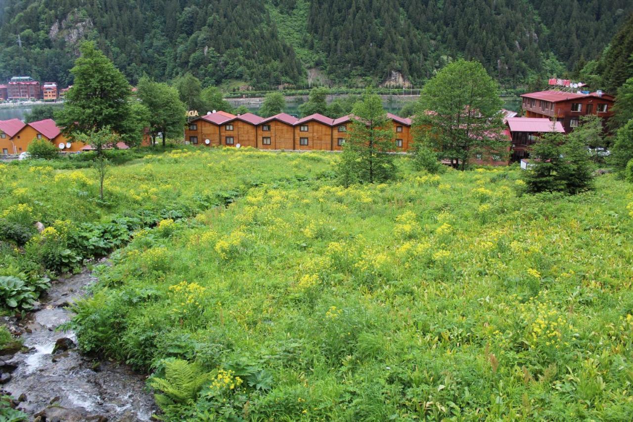 Faraksi Bungalow & Otel Uzungöl Exteriér fotografie