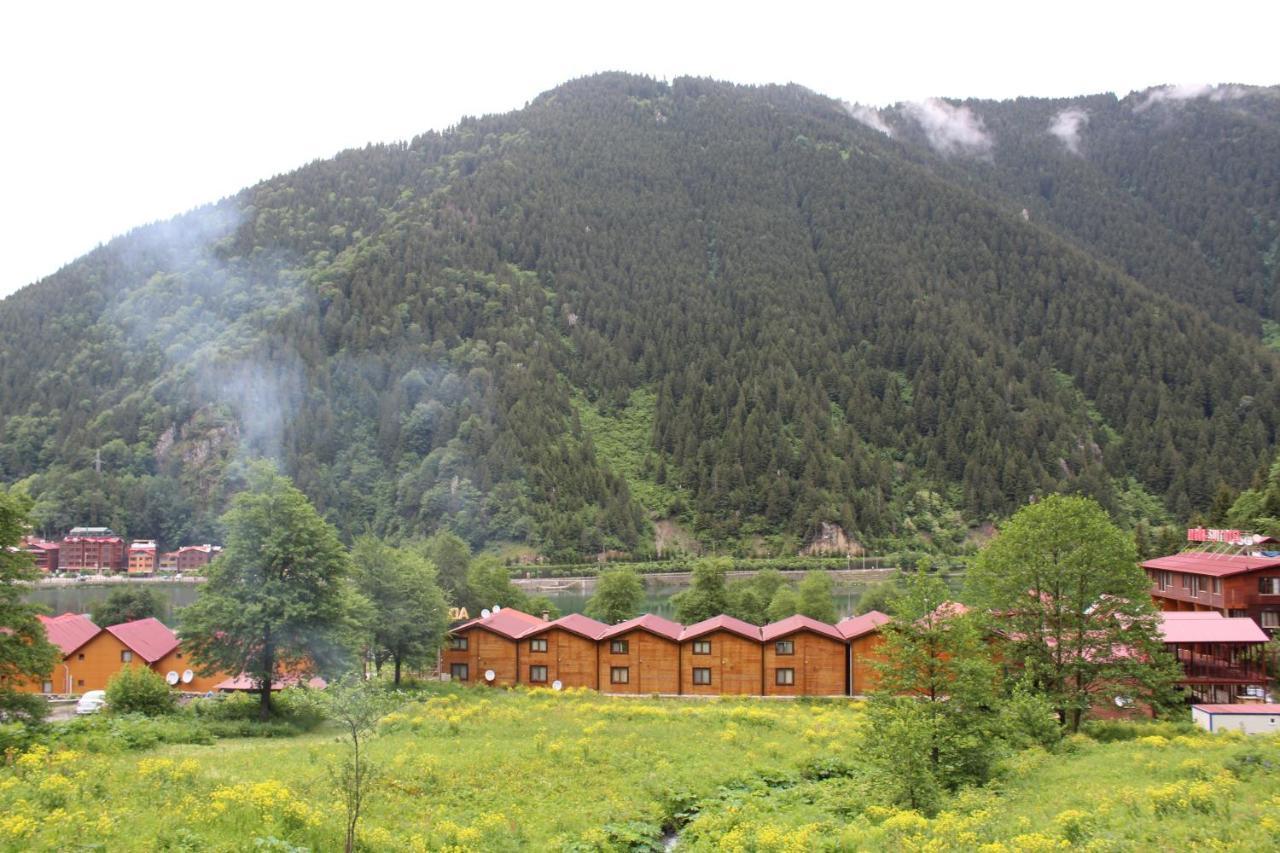 Faraksi Bungalow & Otel Uzungöl Exteriér fotografie