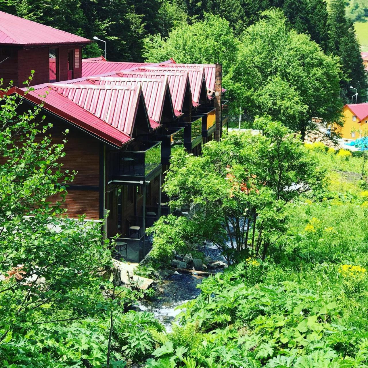 Faraksi Bungalow & Otel Uzungöl Exteriér fotografie