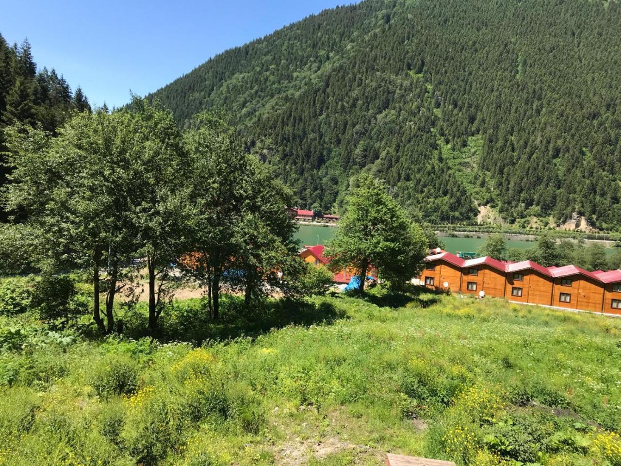 Faraksi Bungalow & Otel Uzungöl Exteriér fotografie